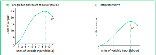 The total amount of product (output) produced by a firm.