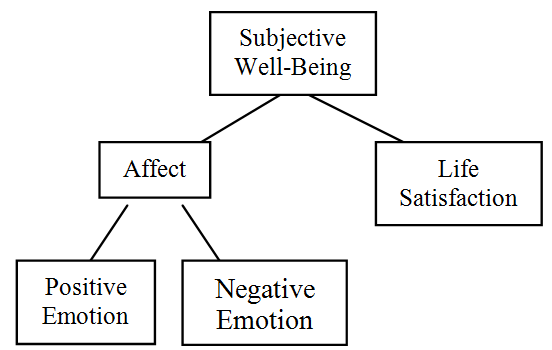 <p>people’s cognitive and affective evaluations of their lives</p>