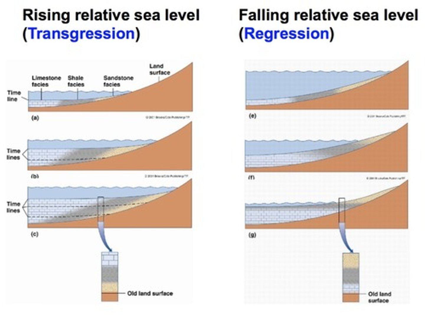 <p>A global change in sea level resulting from an actual rise or fall in the volume of water in the oceans, often due to ice melt or thermal expansion.</p>