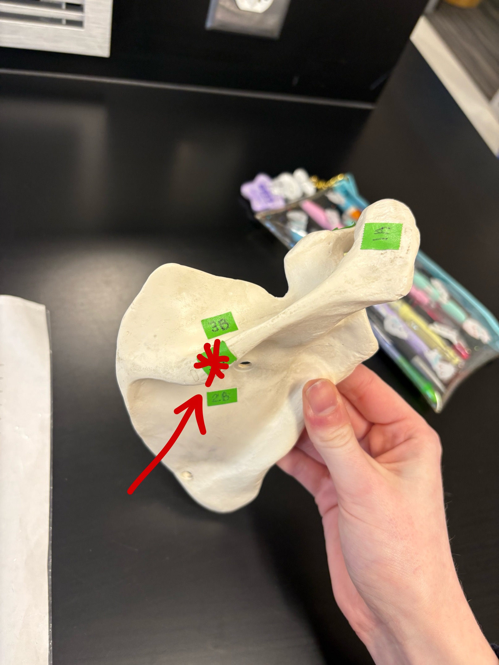 <p> Name this structure</p>