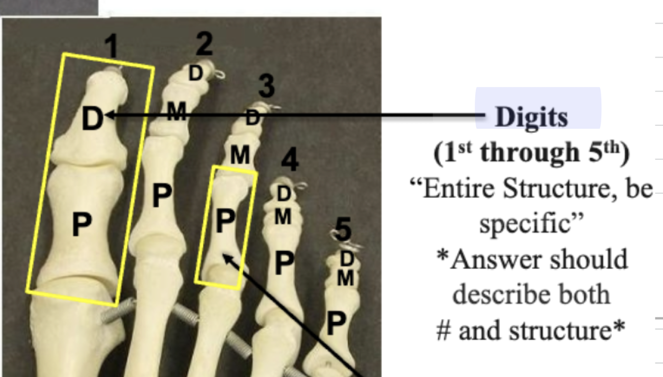 <p>Digits 1-5</p>