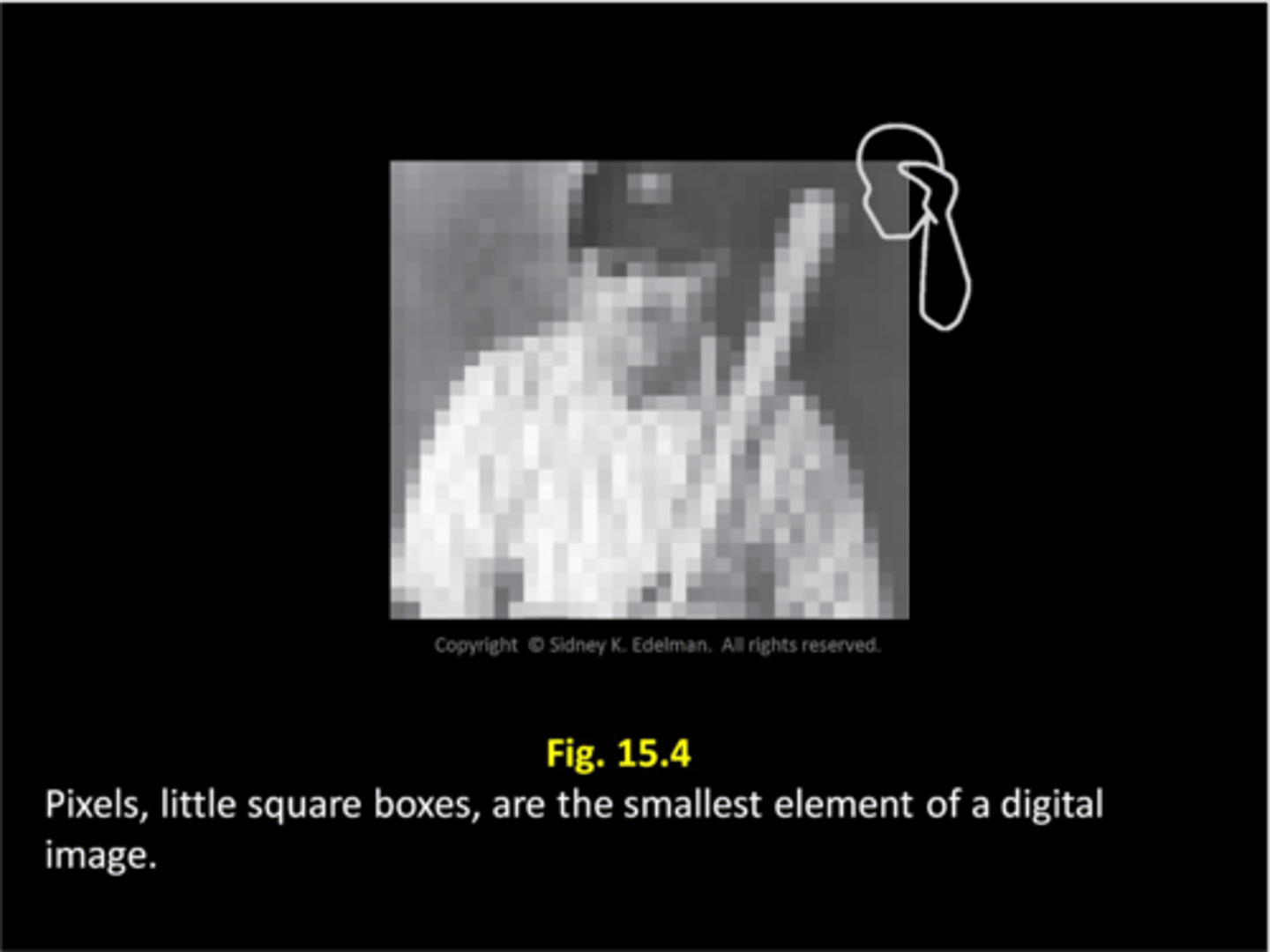 <p>picture element; smallest building block of a digital picture</p>