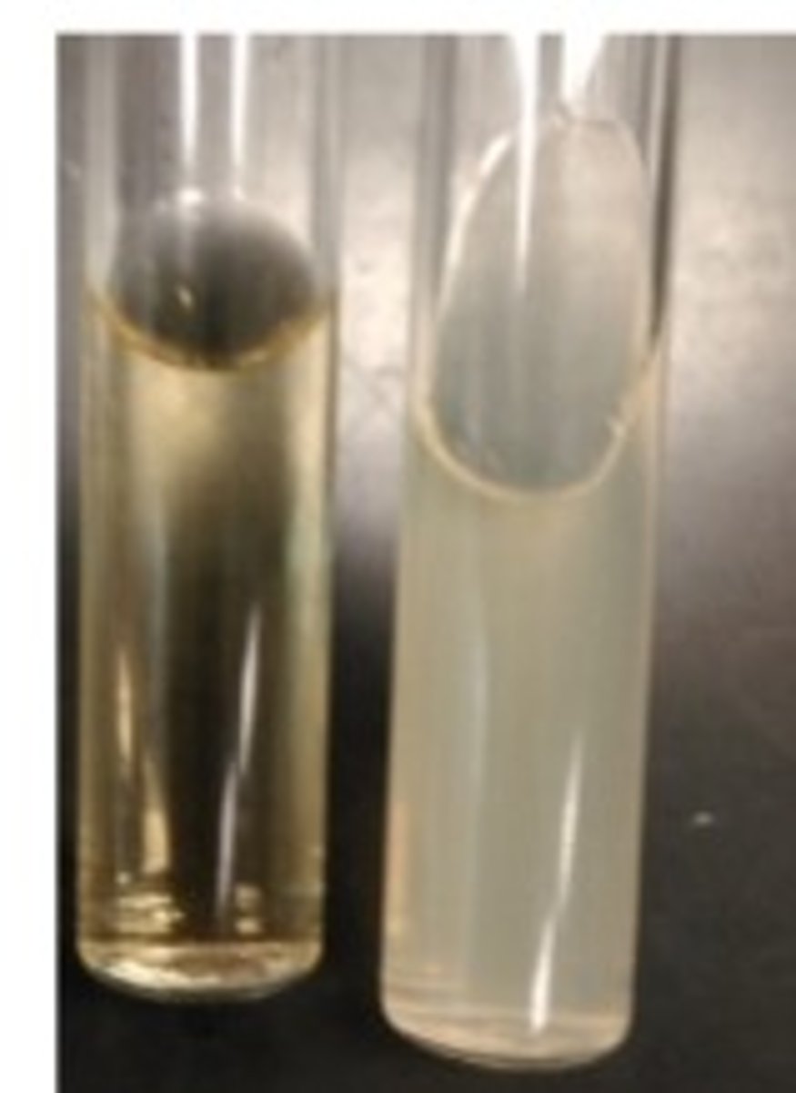 <p>No microbial growth.</p>