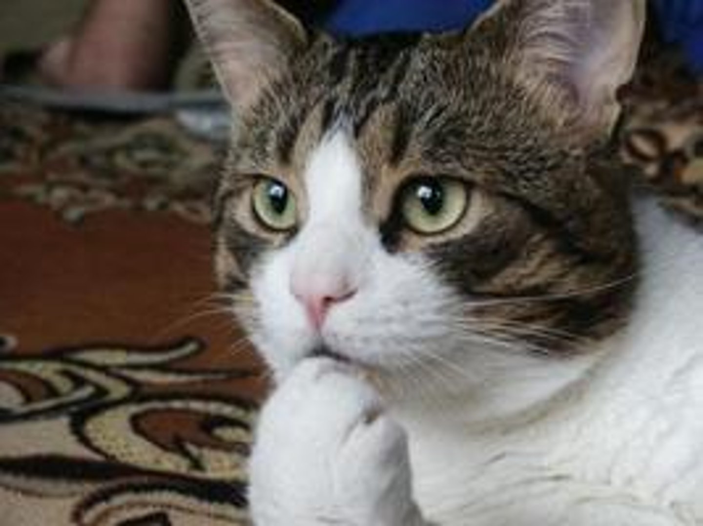 <p>it interests me</p>