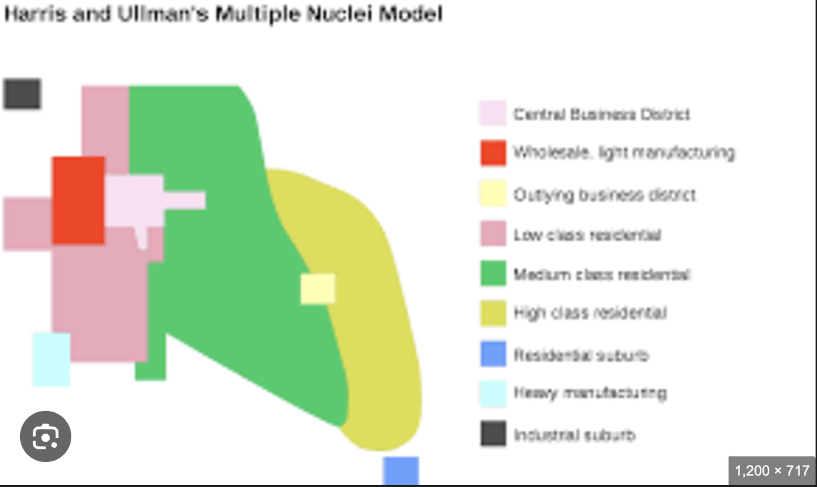 <ul><li><p>attemtpts to explain structure of city taking into account complexity and growth over time</p></li><li><p>activities and land scatter CBD</p></li><li><p>scattered activities attract people from surrouding areas as smaller nuclei, until they grow in importance and influence land value and the growth of activities around them</p></li></ul><p></p>