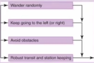 <p><span style="background-color: transparent;"><span>Rather than trying to model the entire world all the time, the robot is given a simple set of behaviors, each associated with the part of the world necessary for that behavior</span></span></p>