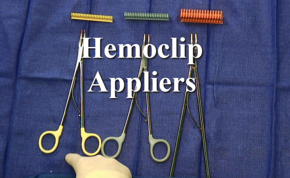 <p>Hemoclip applier with Hemoclips</p>