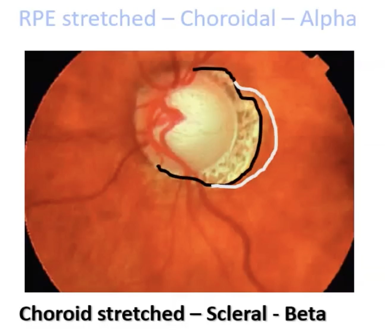 <p>what’s this</p>