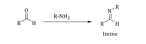 • Convert aldehydes and ketones into other derivatives.

 • 2,4-dinitrophenylhydrazine & semicarbazone

 • They convert liquid aldehydes and ketones into solids