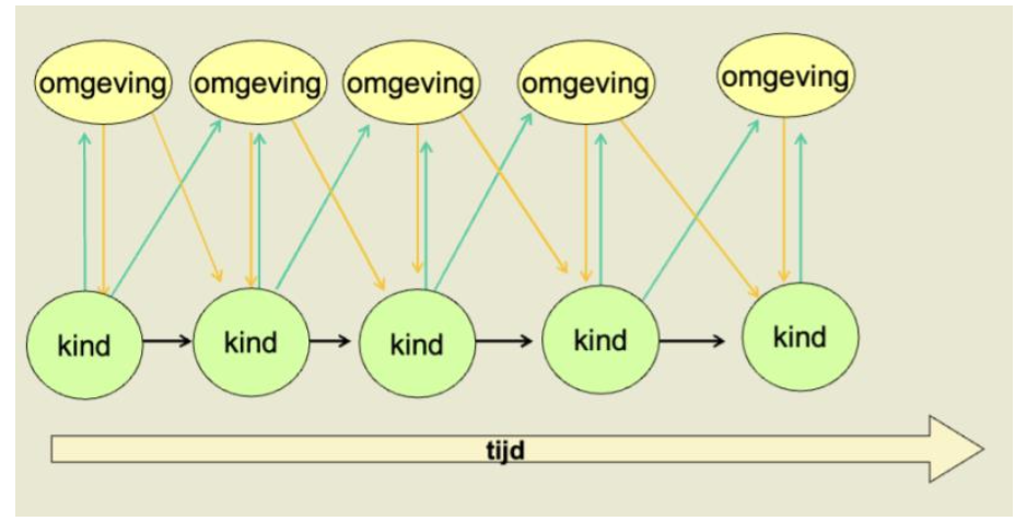 <p>Kind en omgeving beïnvloeden elkaar voortdurend.<br>→ Kind selecteert, manipuleert, en roept reacties op uit omgeving.<br>→ Ouders (sensitiviteit) zijn belangrijke beïnvloeders.<br>→ Genetische aanleg zorgt voor stabiliteit.</p>