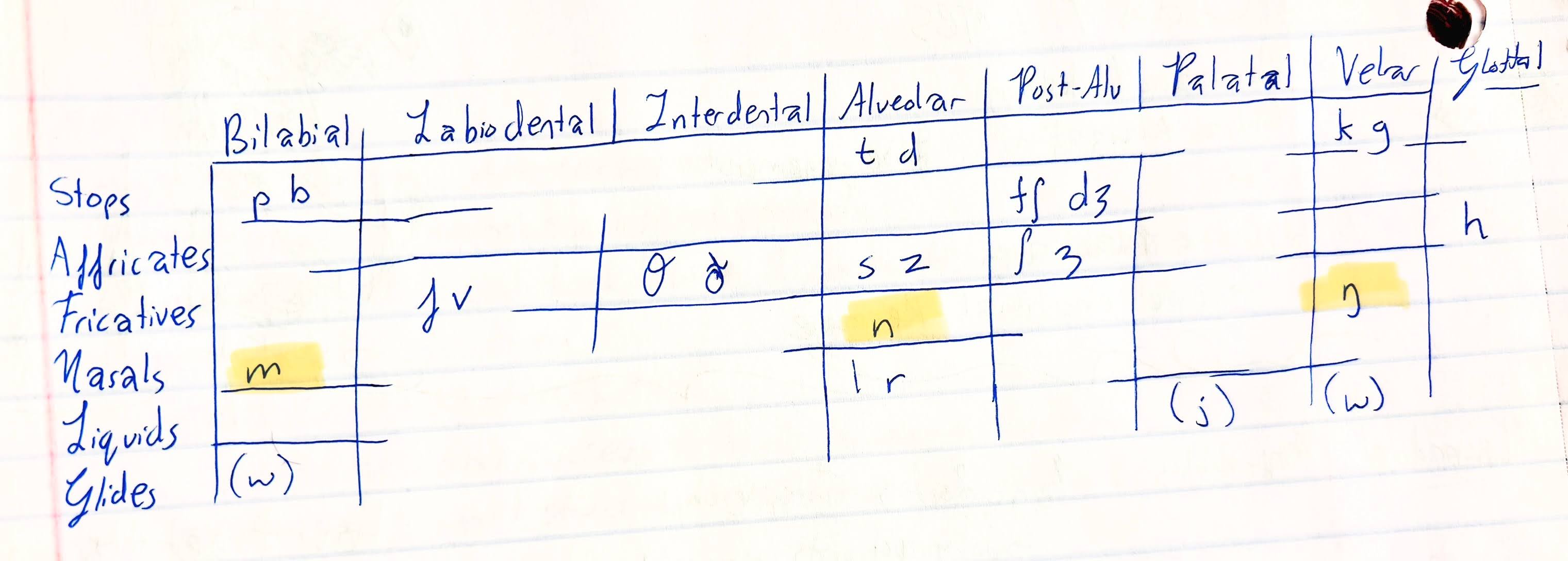 <p>Which natural class defines these sounds?</p>