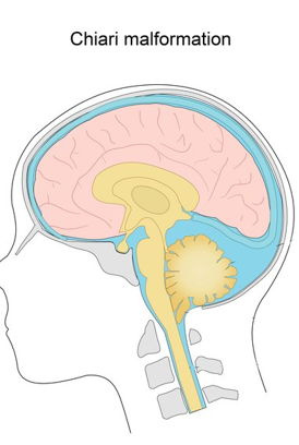 <p>what is this?</p>