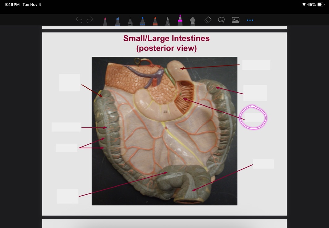 <p>What is this?</p>