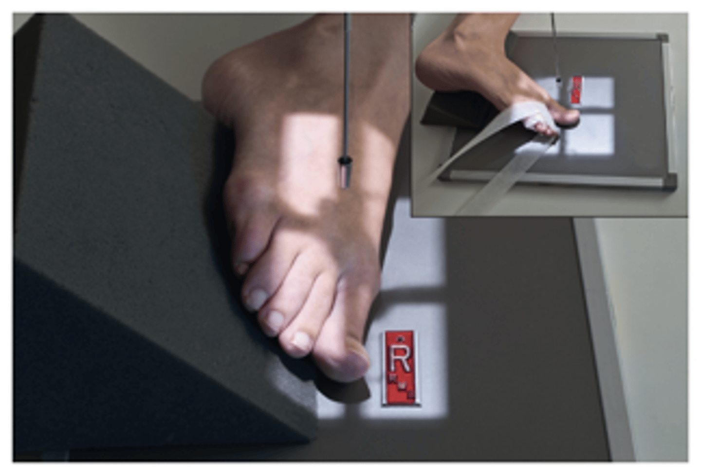 <p>What projection is this?</p>