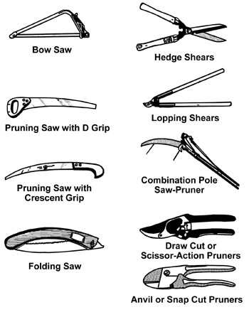 in order from smallest to largest:

pinching: with fingers

hand pruners: ≤ 0.75” D

loppers: 0.75--1.5” D

pole pruner: ≤2” D -- for higher

chainsaw: 6-18” D

hedge shears: not used for pruning trees and shrubs, used to shape