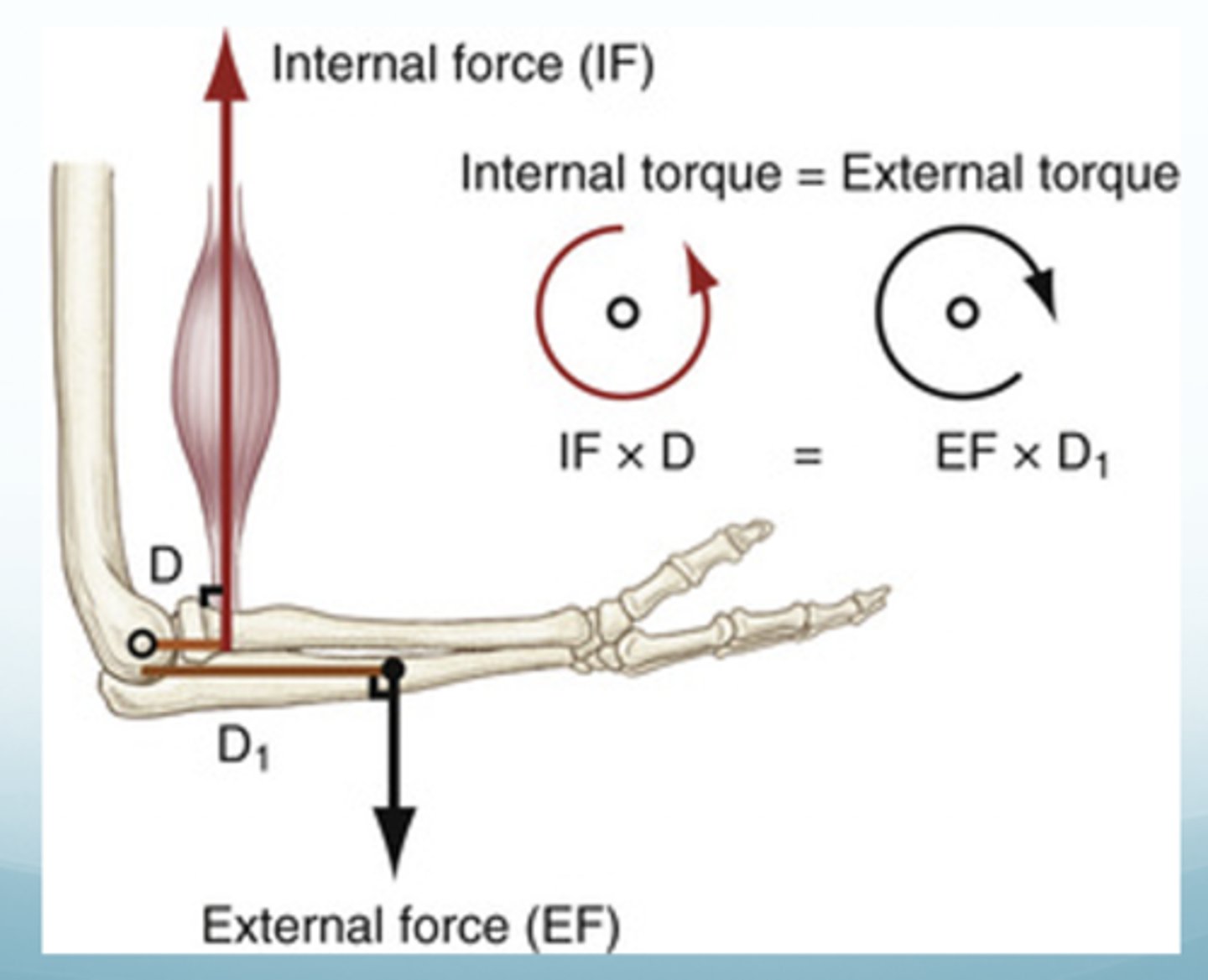 <p>produced by forces applied perpendicular, at some distance to the axis of rotation <br><br>moment arm--&gt; is the perpendicular distance between axis of rotation and the force <br><br>product of the moment arm and force produces ---&gt; torque</p>
