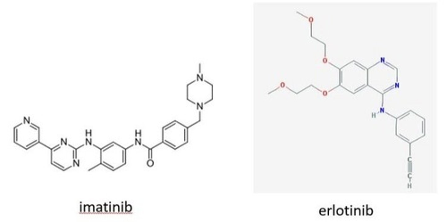 <p>Which is the one true statement about these tyrosine kinase inhibitors?</p><p>A. Both possess 2-phenylaminopyrimidine pharmacophore </p><p>B. imatinib possesses a 2-phenylaminopyrimidine pharmacophore </p><p>C. Erlotinib possesses a 2-phenylaminopyrimidine pharmacophore </p><p>D. both possess 4-anilinoquinazoline pharmacophores</p>