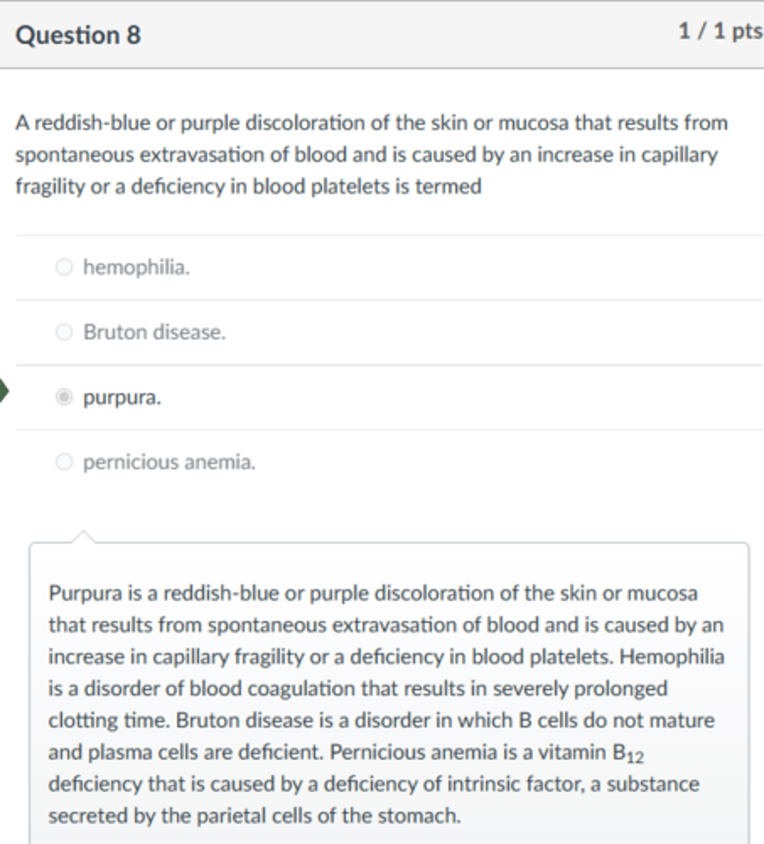 <p>purpura</p><p>Purpura is a reddish-blue or purple discoloration of the skin or mucosa that results from spontaneous extravasation of blood and is caused by an increase in capillary fragility or a deficiency in blood platelets. Hemophilia is a disorder of blood coagulation that results in severely prolonged clotting time. Bruton disease is a disorder in which B cells do not mature and plasma cells are deficient. Pernicious anemia is a vitamin B12 deficiency that is caused by a deficiency of intrinsic factor, a substance secreted by the parietal cells of the stomach.</p>