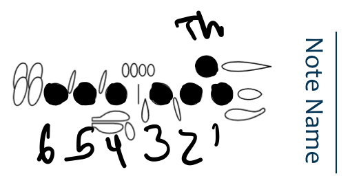 <p>G</p>