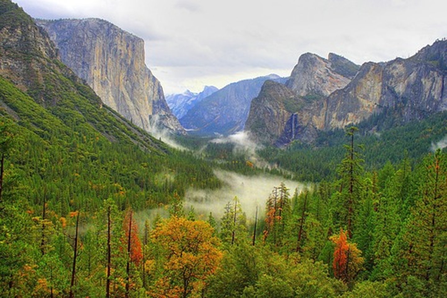 <p>valleys; depressed stretches of ground</p>