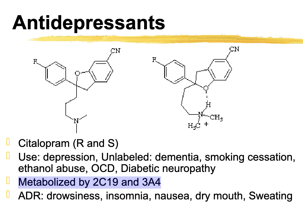 <p>2C19 and 3A4 </p>