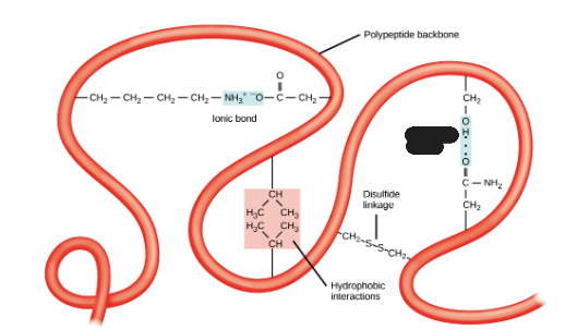 <p>What is being shown in the image?</p>