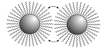 <p>The NP is coated with bulky stabilisers, causing the NPs to sterically repulse one another so they can no longer grow.</p>