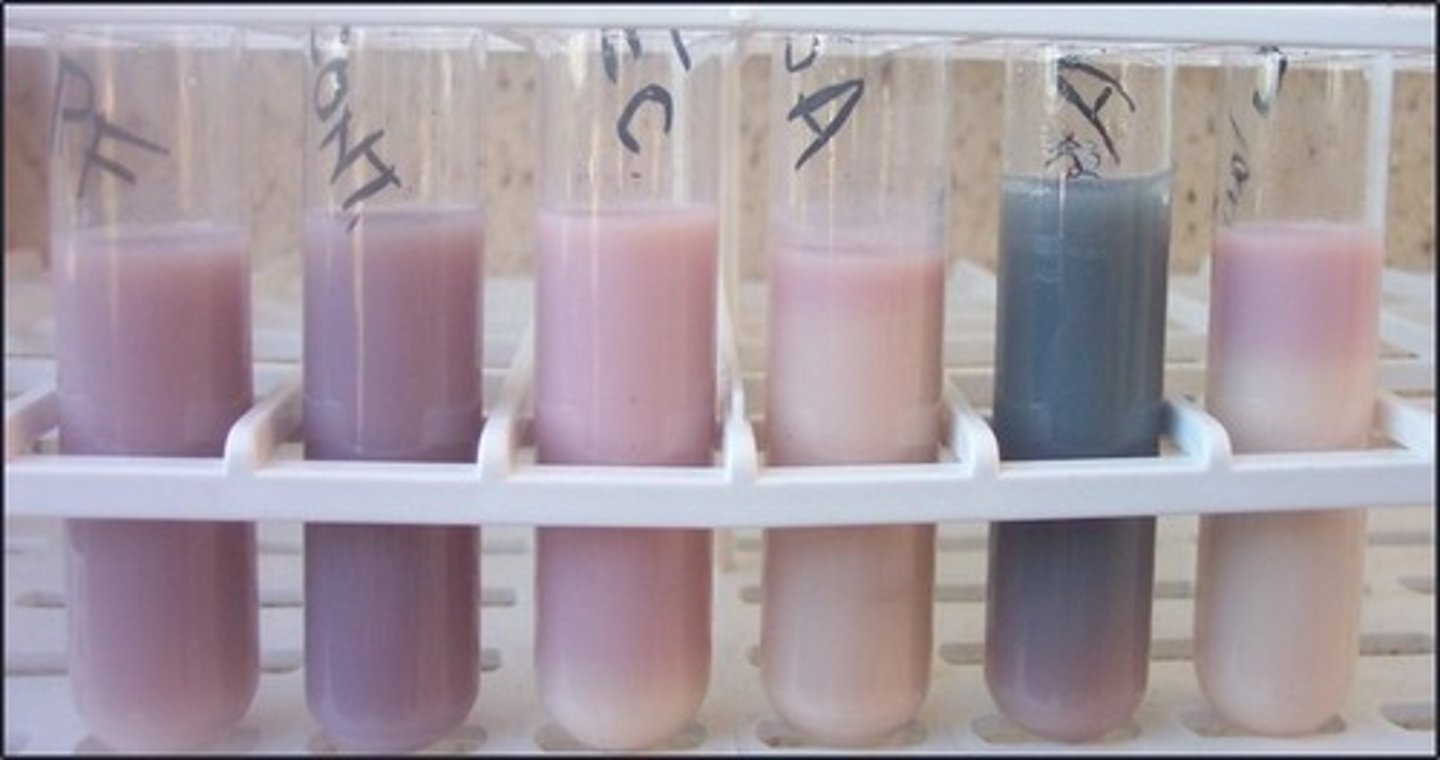 <p>These tubes are filled with</p>