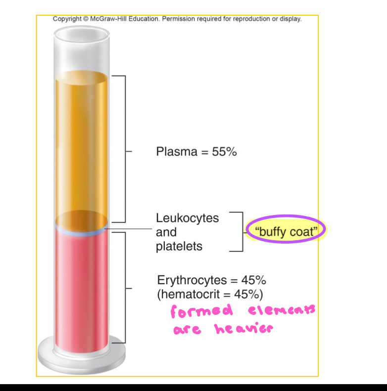 <p>Shows percentage of how much of blood is composed of RBCs</p><p>Splits plasma, leukocytes/platelets, and Erythrocytes</p>