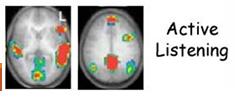 <p>listening to understand</p><p>wernicke’s, broca’s, and geschwind’s areas activated</p>