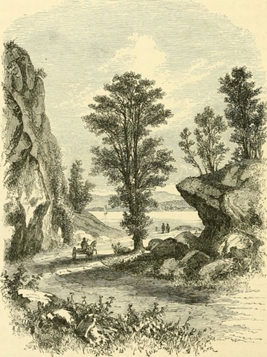 <p>Build trails and roads; cut down trees</p>