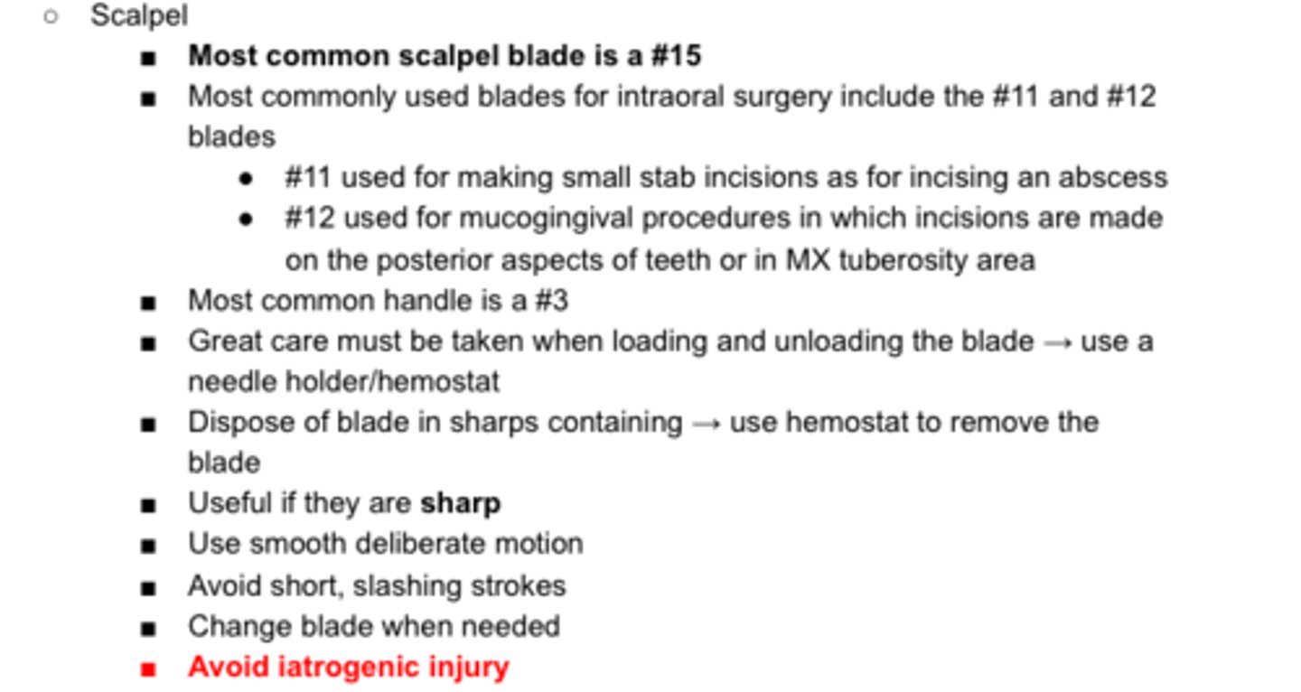 <p>review scalpel part</p>