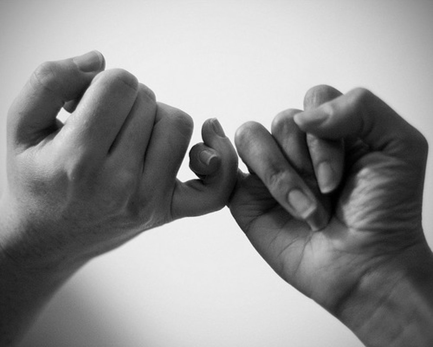 <p>to promise</p>