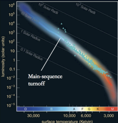 <p><span style="background-color: transparent;">The B stars are starting to turnoff</span></p><p><span style="background-color: transparent;">Turnoff = when nuclear fusion stops</span></p><p><span style="background-color: transparent;">The main sequence turnoff point of a <strong>cluster</strong> tells us its age</span><br>*<strong>The point where stars leave the main sequence corresponds to the age of the cluster's most massive, short-lived stars</strong></p><ul><li><p>Younger star clusters have a main-sequence turnoff point that is higher on the HR diagram, because only the most massive, hottest, and brightest stars have had time to evolve off of the main sequence, over time this could shift downwards</p></li><li><p>Older star clusters have a main-sequence turnoff point that is lower on the HR diagram </p></li></ul><p>*Stars in clusters are born at the same time</p>