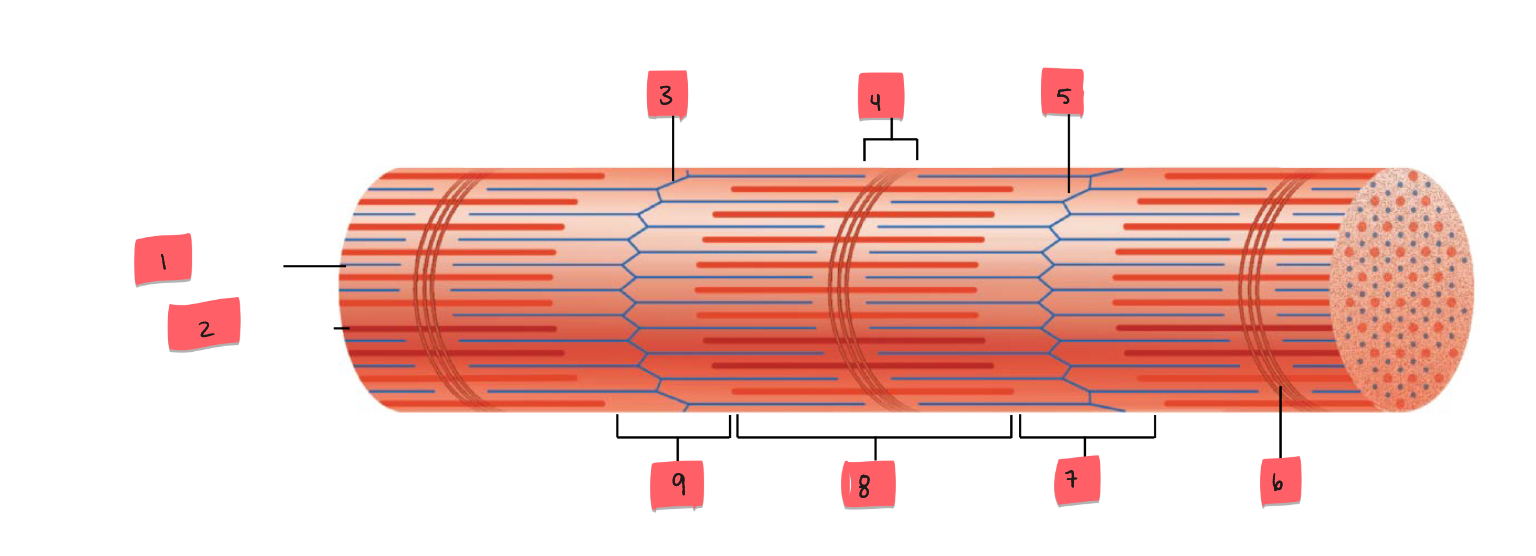 <p>5&nbsp;</p>