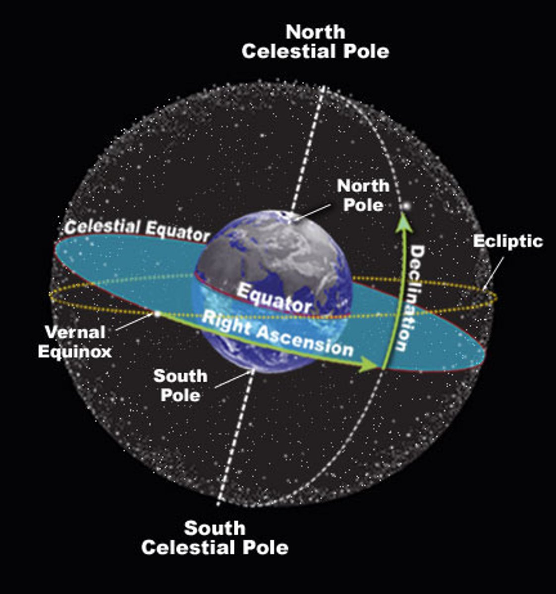 <p>- imaginary circle created by extending Earth's equator into space (celestial sphere)<br>- always cuts your horizon due east and arcs across the sky falling into the horizon due west<br>- passes through your zenith ending at the horizon due west<br>- imaginary sphere of very large radius surrounding Earth to which the planets, stars, Sun, and Moon seem to be attached</p>
