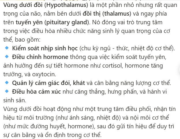 <p>a brain region controlling bodily functions like hunger, thirst, and sleep</p>