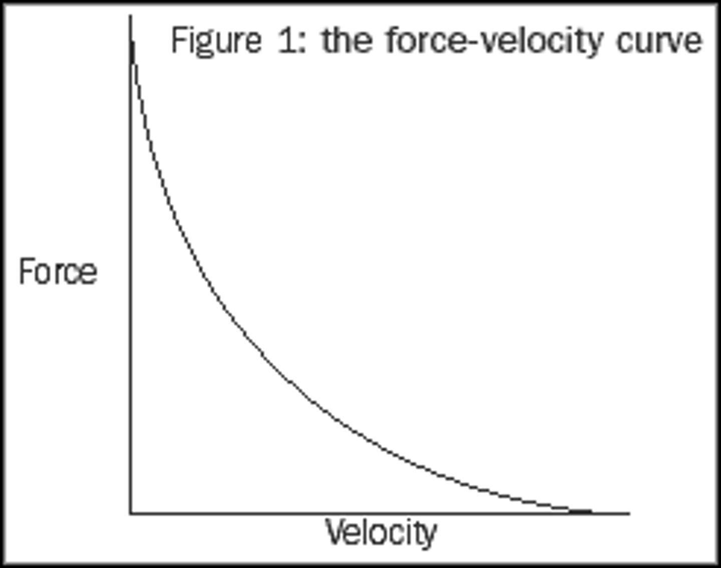 <p>The the top is Vmax--occurs with zero load (never really happens)</p><p>The bottom is Fmax--occurs with zero velocity (isometric contraction), ie. isovolumetric contraction phase of the heart.</p><p>The middle is isotonic.</p>