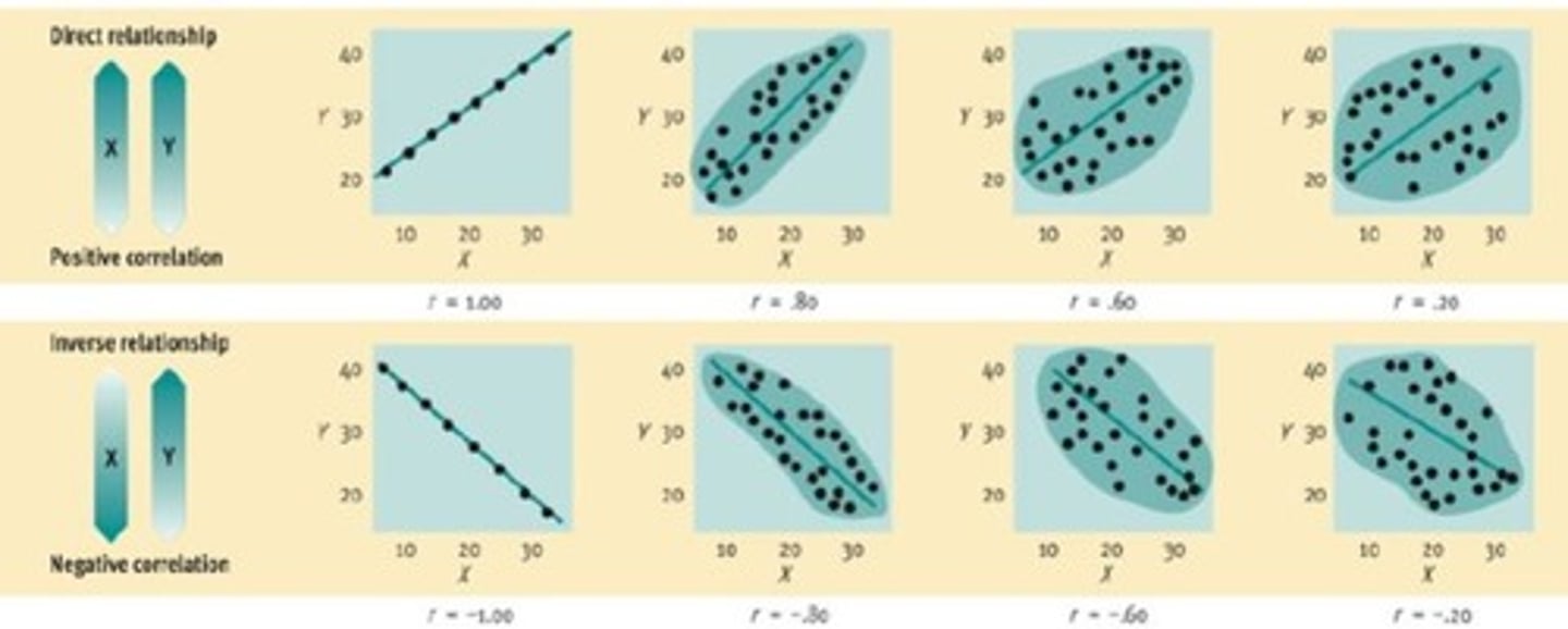 <p>A linear relationship, determined based on a scatterplot.</p>