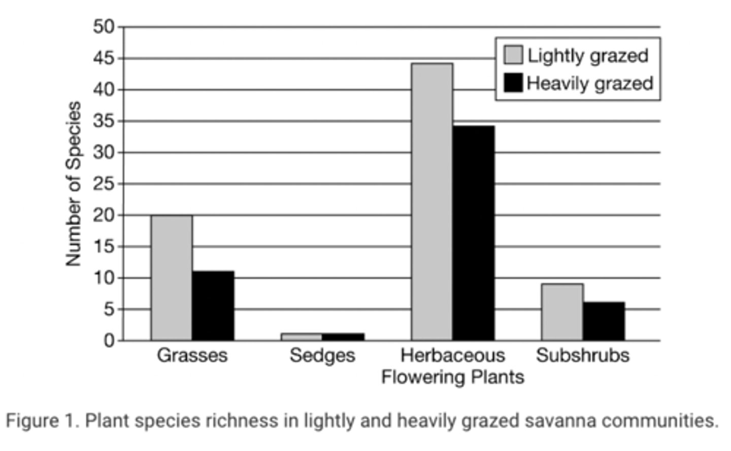 <p>B</p><p>The lightly grazed area is likely to recover more quickly from the drought due to greater biodiversity.</p>