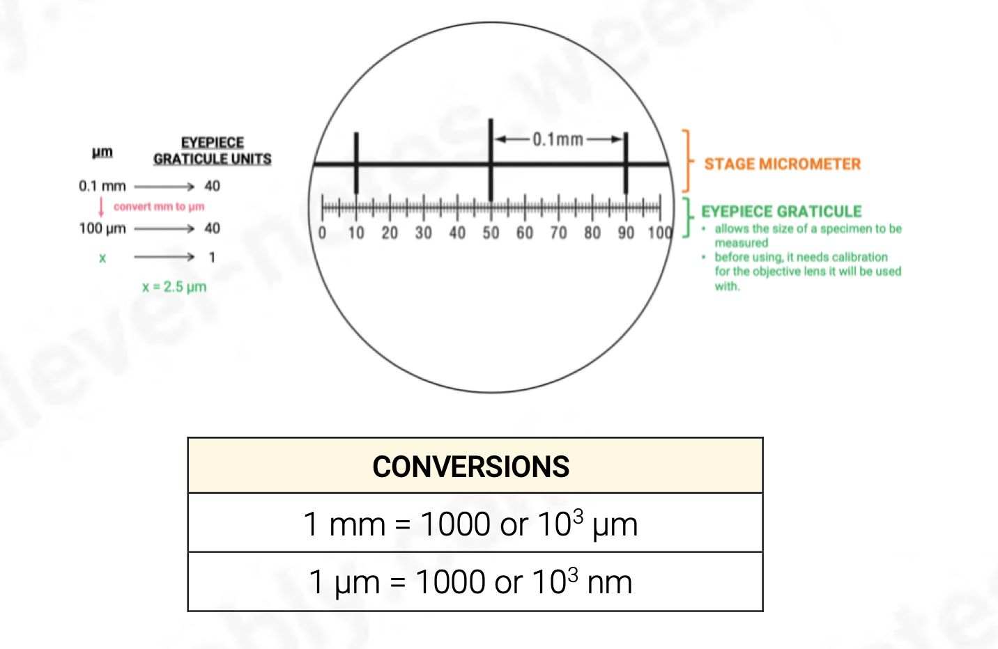 <p>magnification = image size/actual size </p>