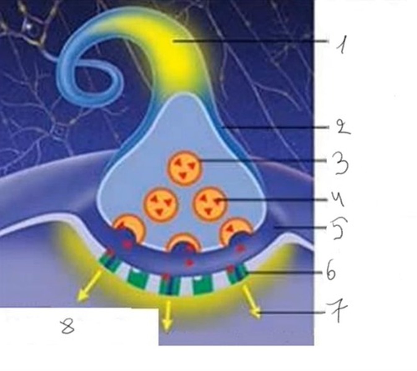 knowt flashcard image