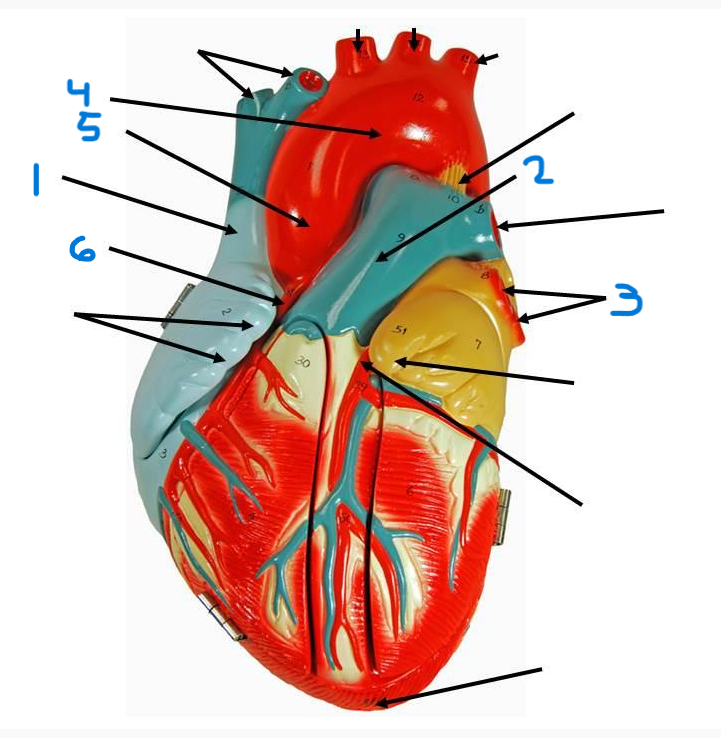 <p>what is structure 3?</p>