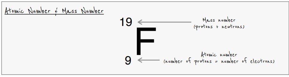 <p>total number of protons and neutrons</p>