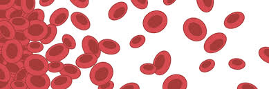 <p>Anemia</p>