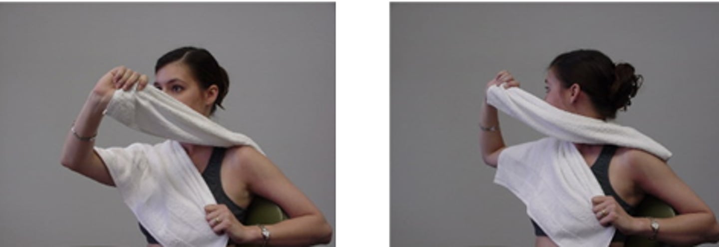 <p>SNAGS - self-techniques: </p><p>cross hands, with lower arm around chair back if possible to provide better fixation</p><p>upper hand aims towel edge along facet plane</p><p>Pt mut follow movement with upper arm</p>