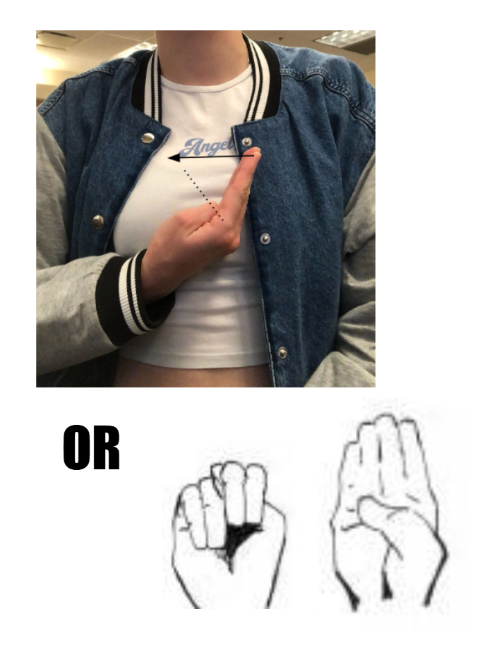 term image