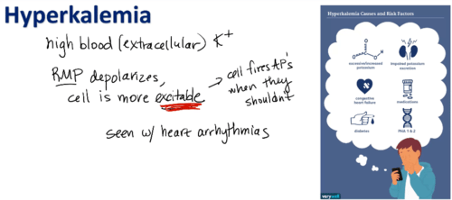 <p>high levels of potassium in blood (extracellular fluid)</p><p>RMP depolarizes, cell is more excitable (cell fires APs when they shouldn’t)</p><p>cardiac arrhythmias, shortness of breath, muscle weakness, etc.</p>