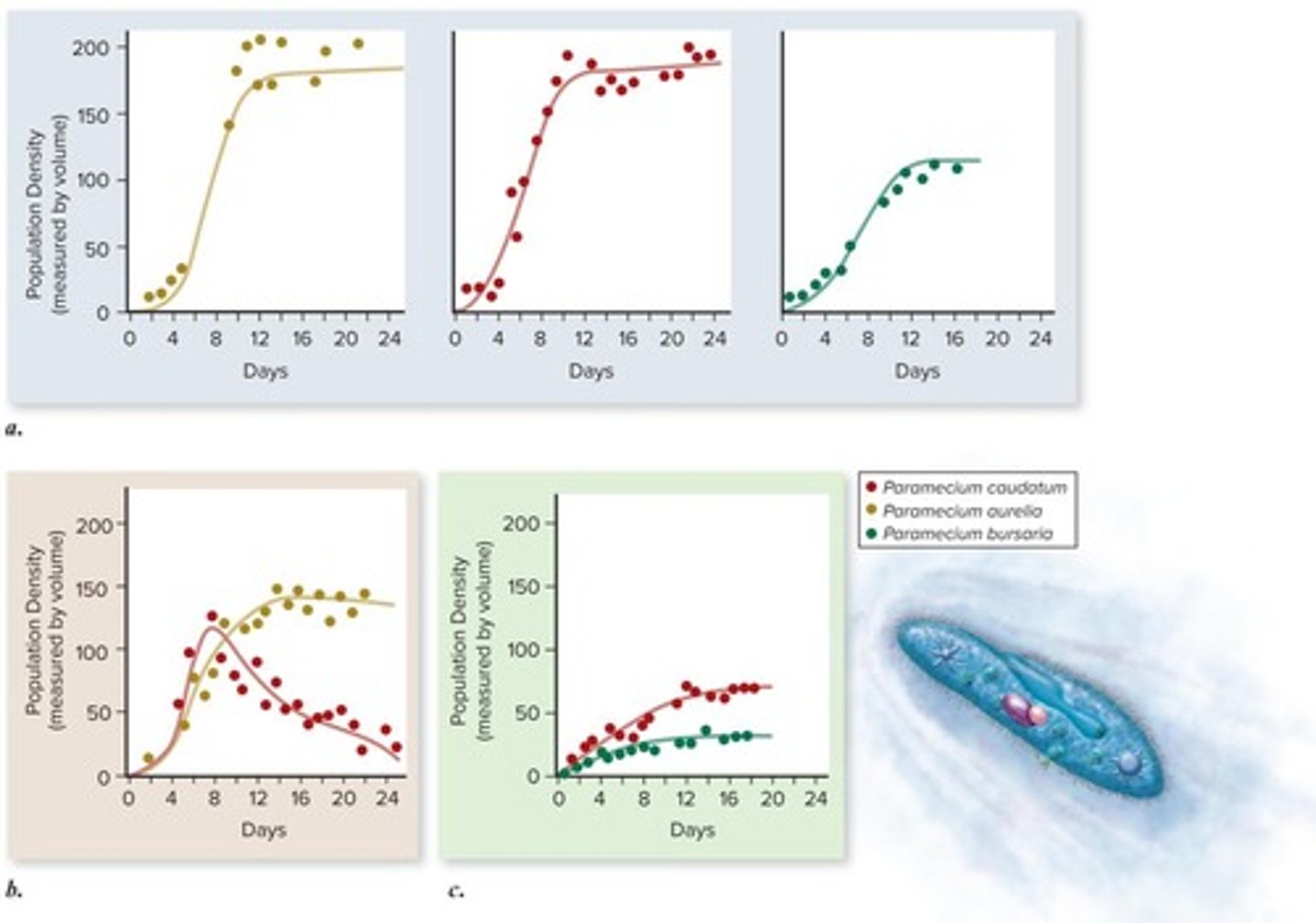 <p>It demonstrated the competitive exclusion principle using three Paramecium species.</p>