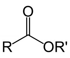 C/O double bond, O-R